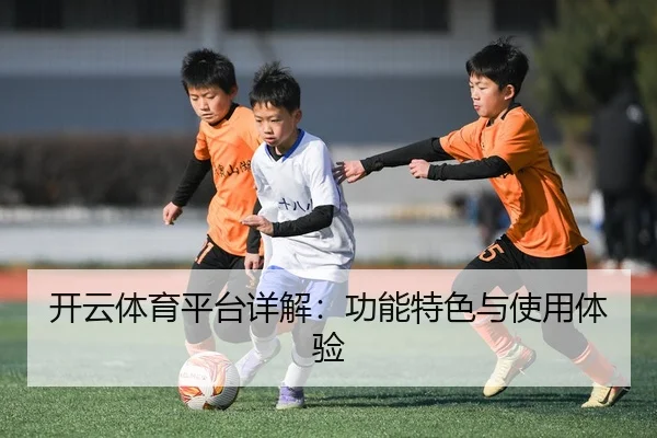 开云体育平台详解：功能特色与使用体验