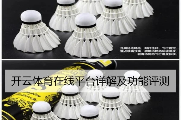 开云体育在线平台详解及功能评测